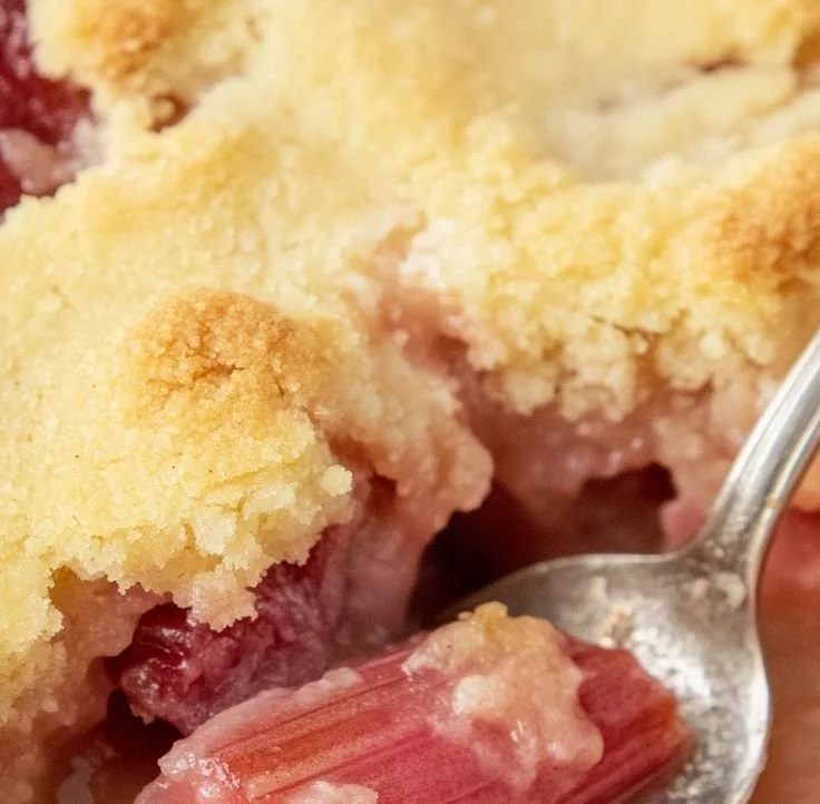 Moist rhubarb cobbler topped with crumbly biscuit crust and fresh rhubarb filling.
