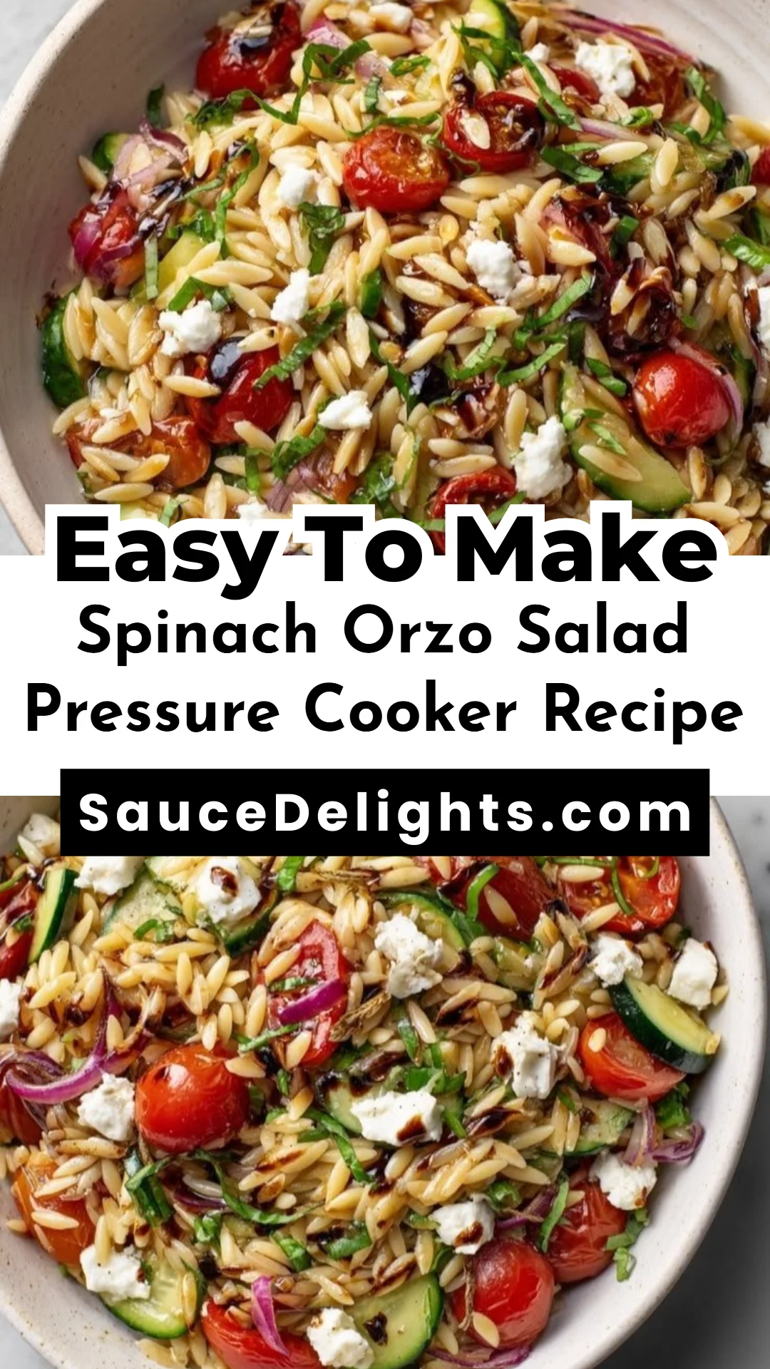 Spinach Orzo Salad Pressure Cooker Recipe