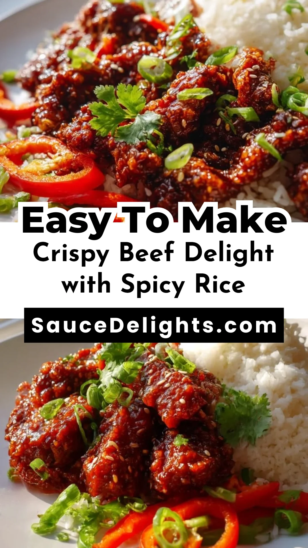 Crispy Beef Delight with Spicy Rice