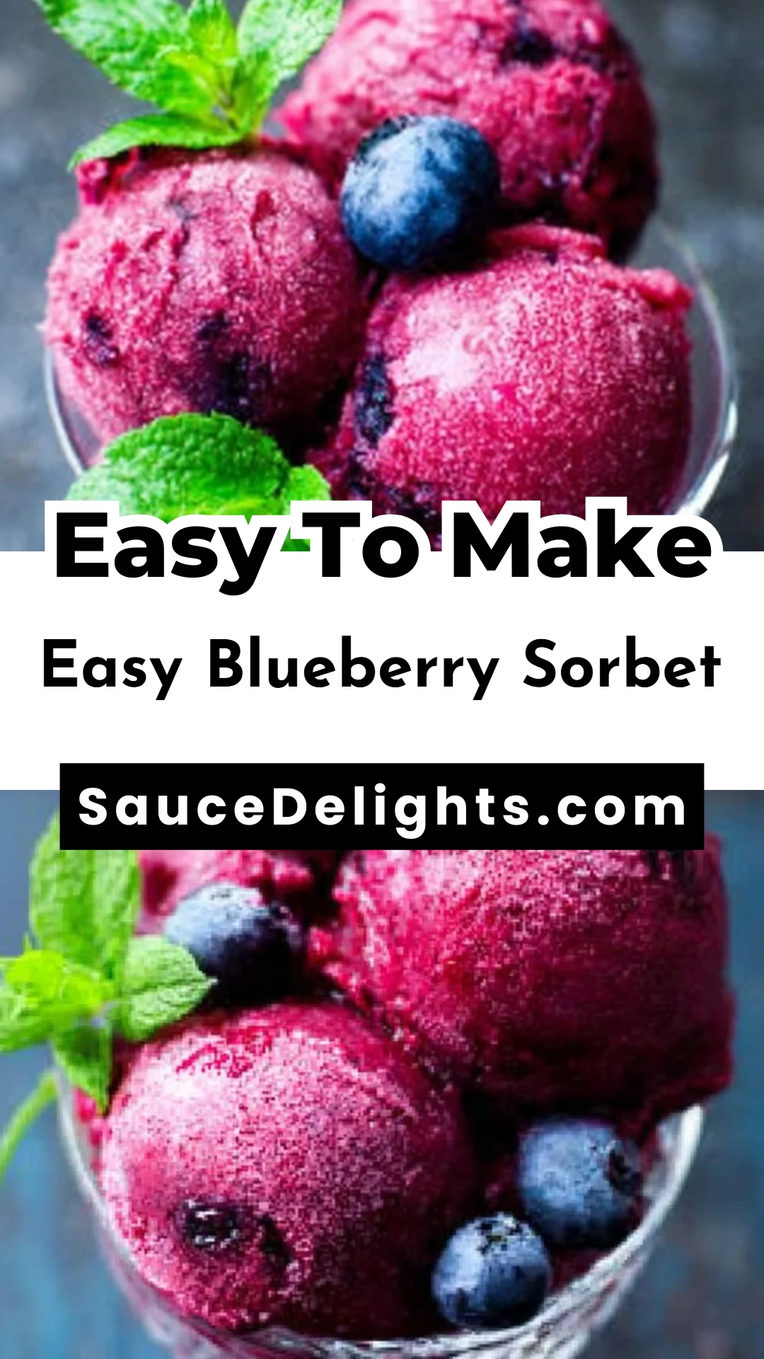 Easy Blueberry Sorbet