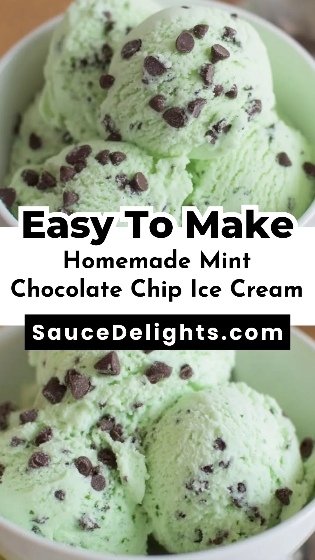 Homemade Mint Chocolate Chip Ice Cream