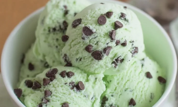 Homemade Mint Chocolate Chip Ice Cream