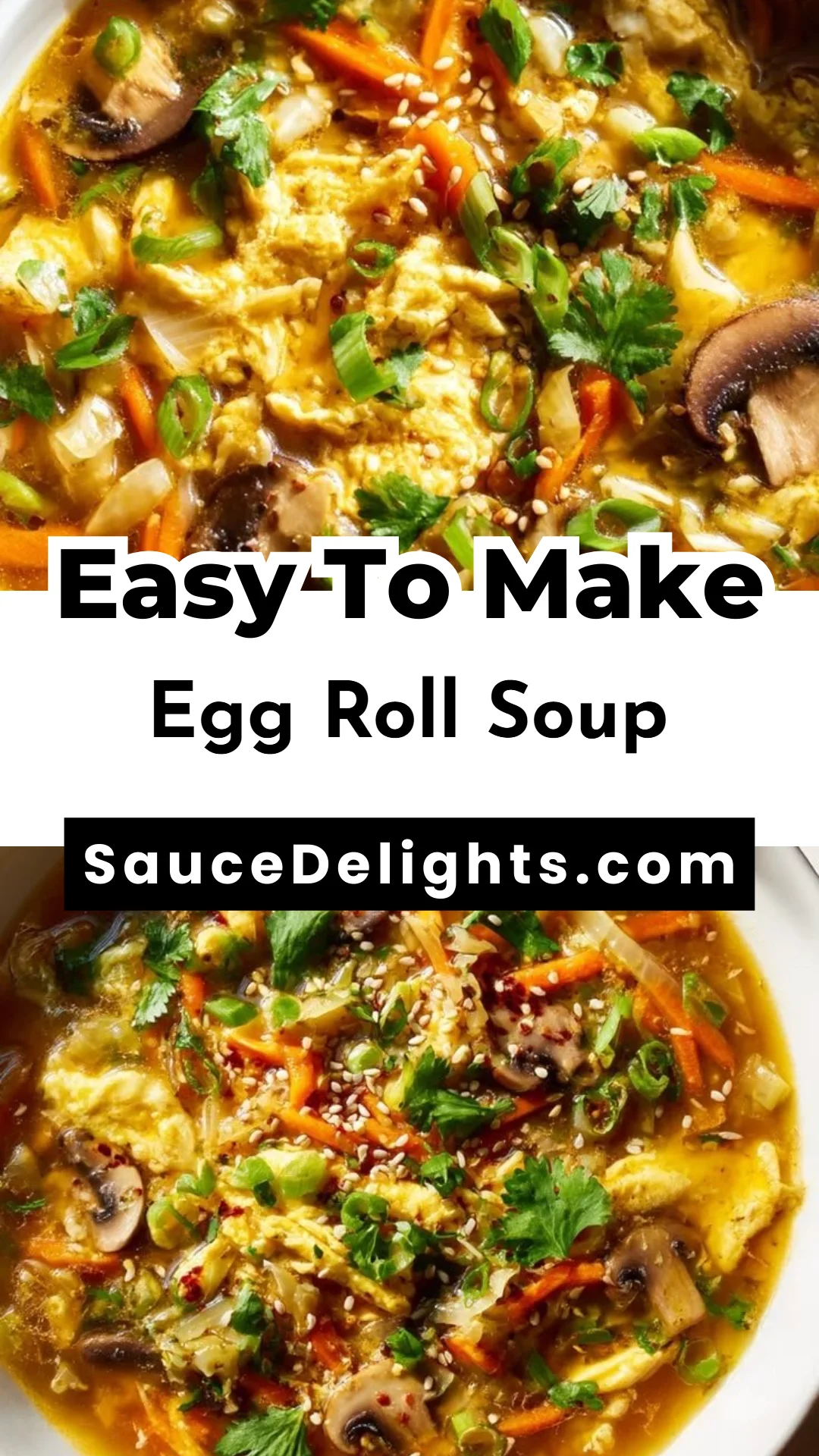 Egg Roll Soup