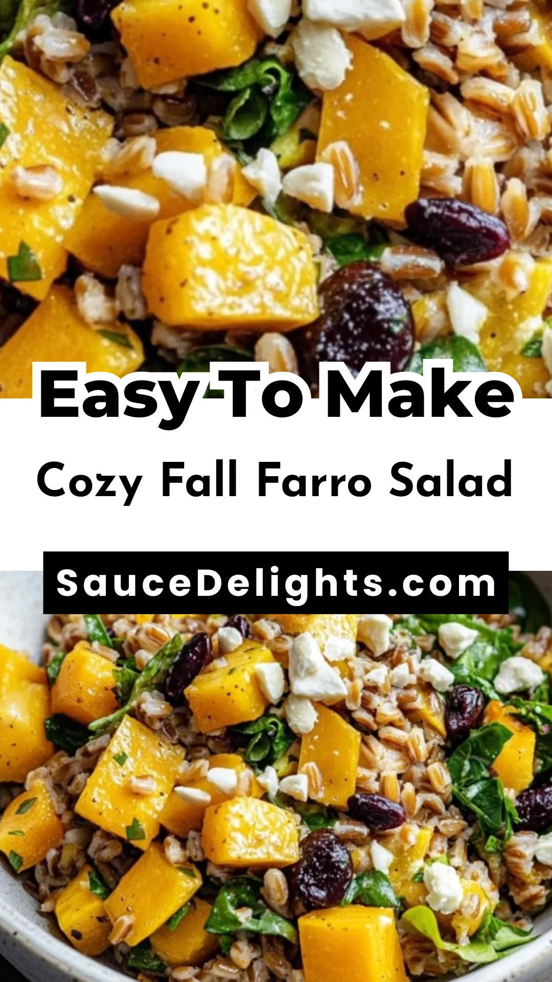 Cozy Fall Farro Salad