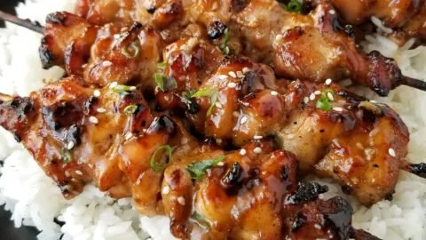 Best Ever Teriyaki Chicken Skewers
