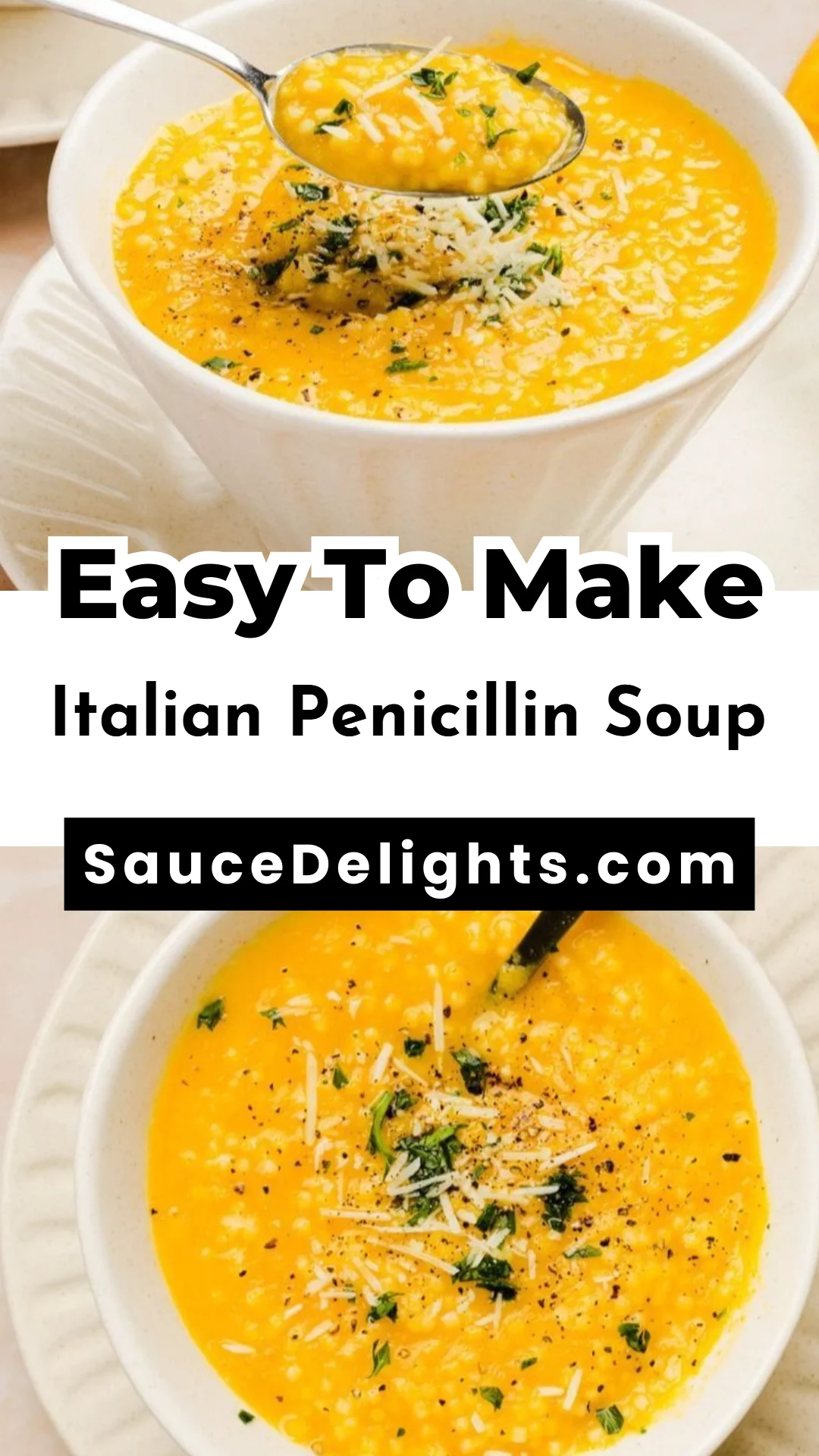 Italian Penicillin Soup