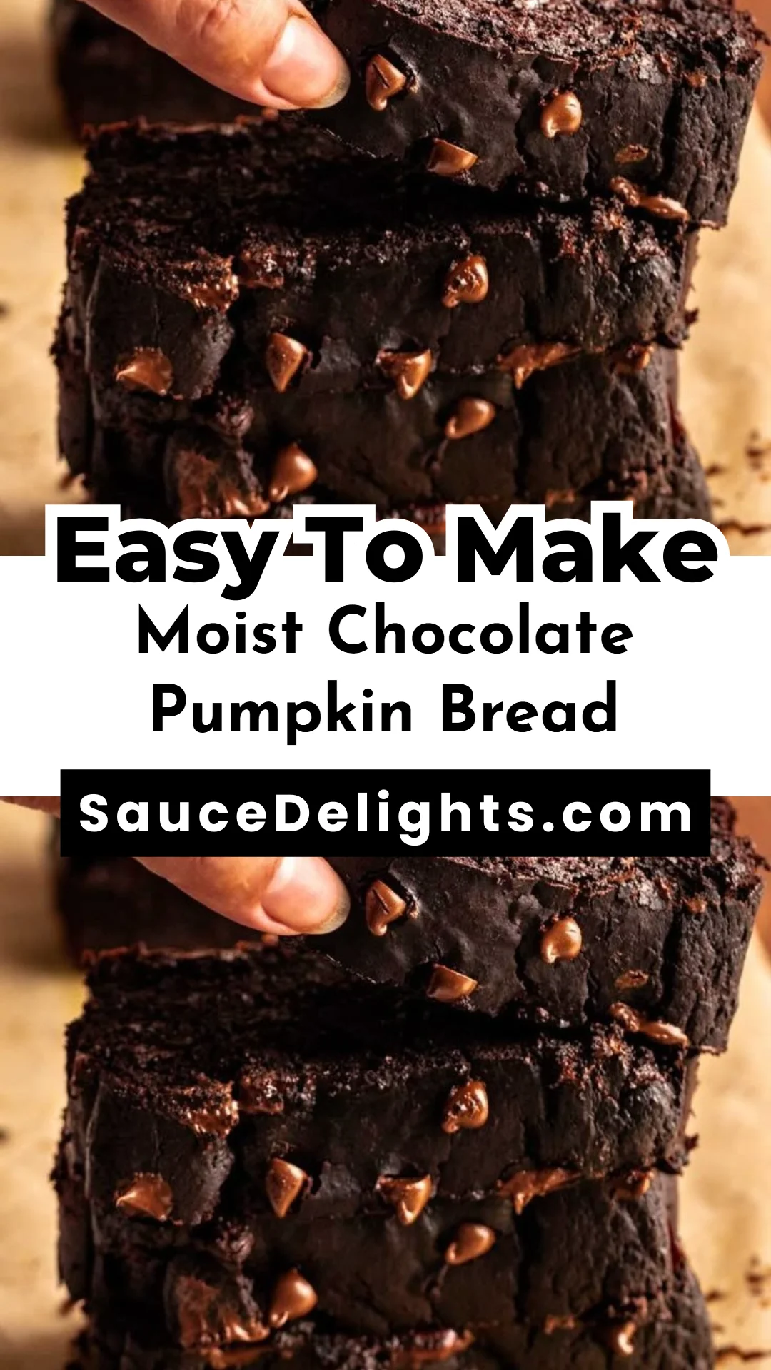 Moist Chocolate Pumpkin Bread