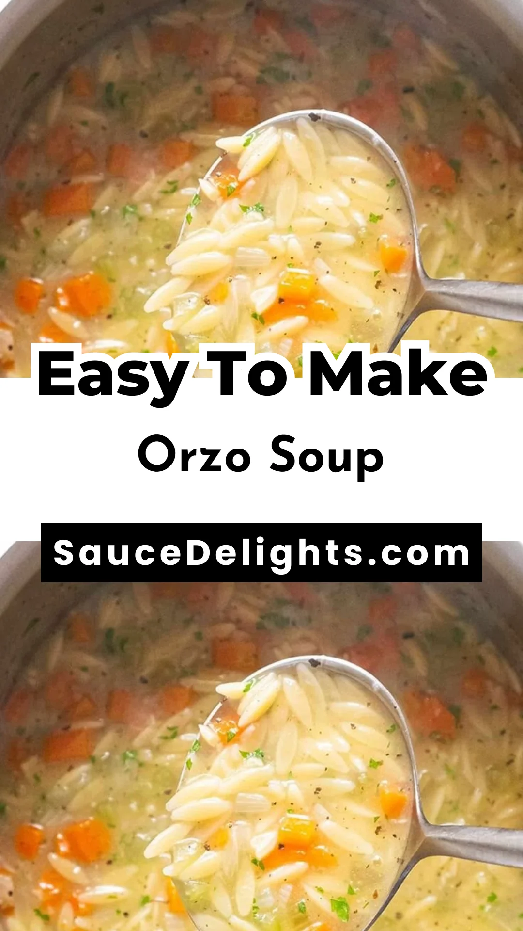 Orzo Soup