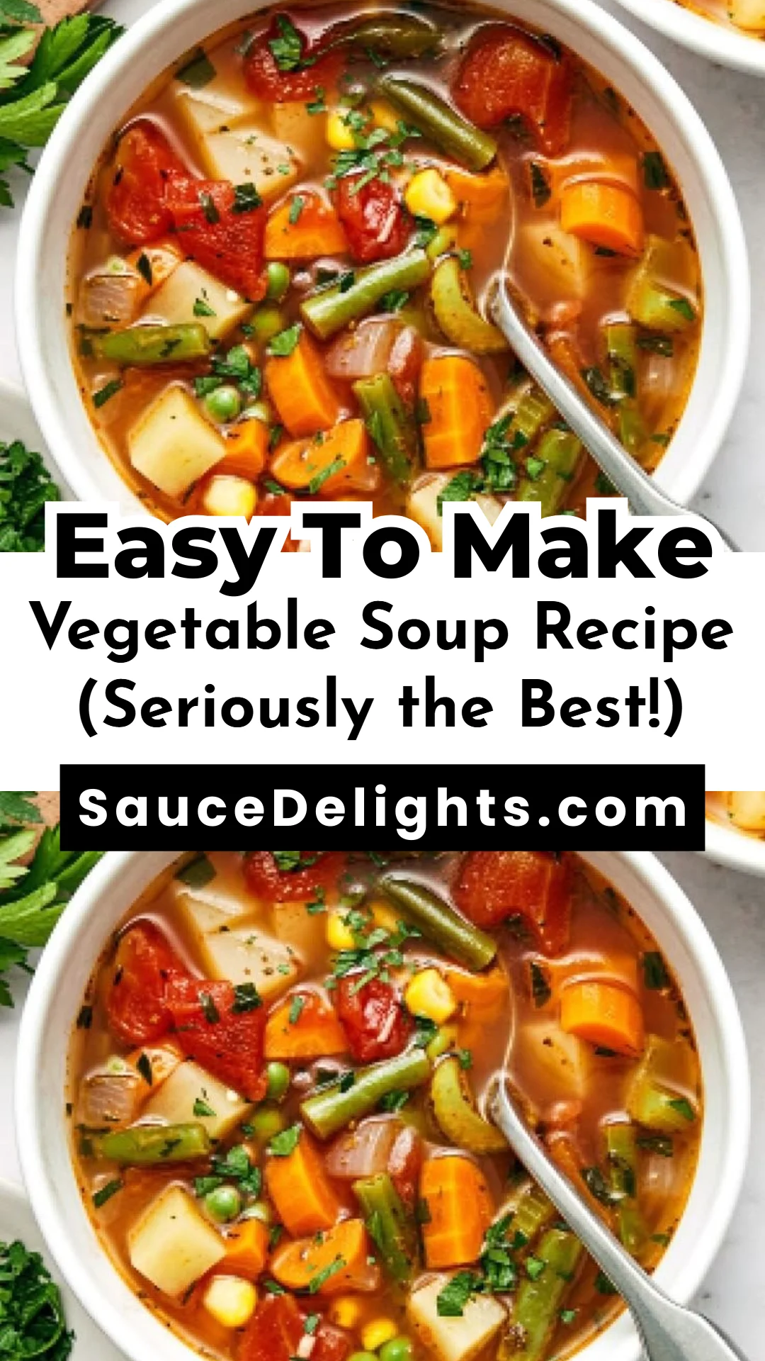 Vegetable Soup Recipe (Seriously the Best!)